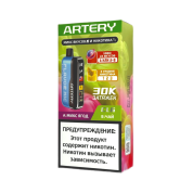 ARTERY CL6 30000 Flavor+Nic Микс ягод чай 2%
