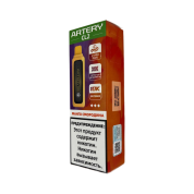 ARTERY CL2 10000 Манго смородина 2%