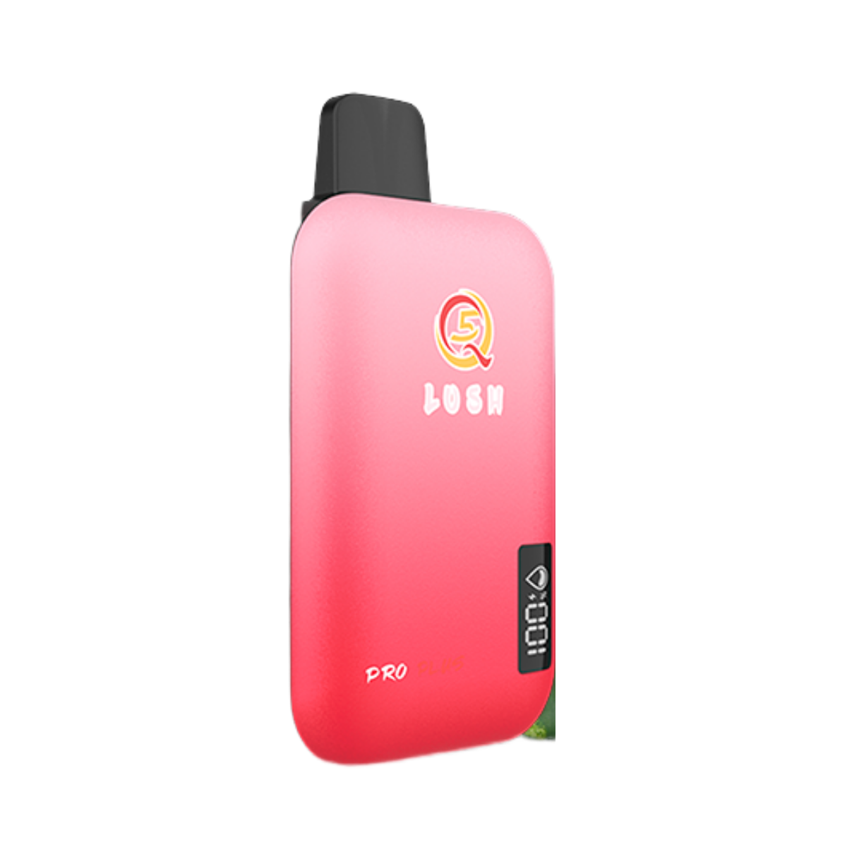 Q5 PRO PLUS 10000 Арбуз 2%