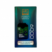 MIKING WISH 6000 Мята черника 2%