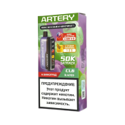 ARTERY CL6 50000 Flavor+Nic Виноград алоэ 2%