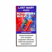 LOST MARY MIXER 20000 Черника арбуз 2%