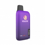 Q5 PRO PLUS 10000 Виноград 2%