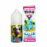 GANG ICE Strong Киви ананас 30мл 2%