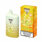 GANG HUGE 5500 Цитрусовый микс 2%