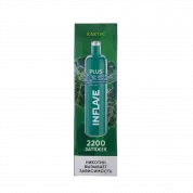 INFLAVE PLUS 2200 Кактус 2%