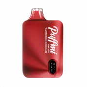 PUFFMI DURA V 2 NEW 9000 Арбузная жевательная резинка 5%