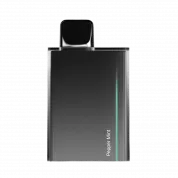 SOAK CUBE Black 7000 Перечная мята 2%