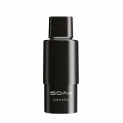 Картридж SOAK Тростниковая мята (упак. 2 шт) 2%