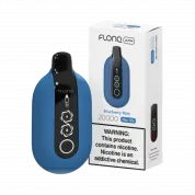 FLONQ Ultra 20000 Черника мята 2%
